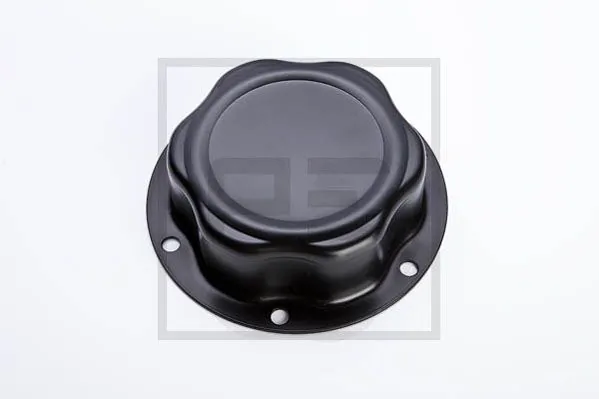Cap, wheel bearing
